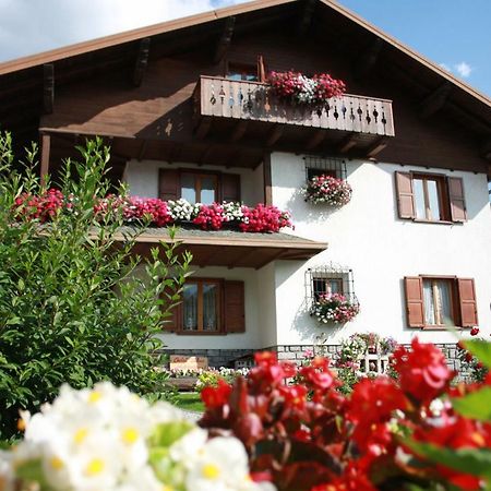 Chalet Stelvio Bormio Dış mekan fotoğraf