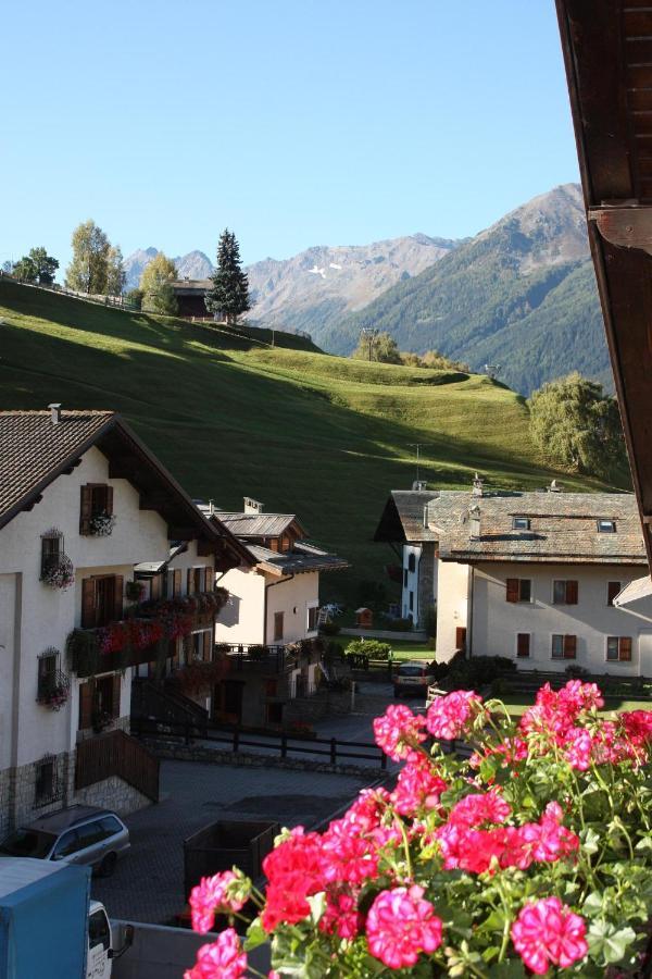 Chalet Stelvio Bormio Dış mekan fotoğraf