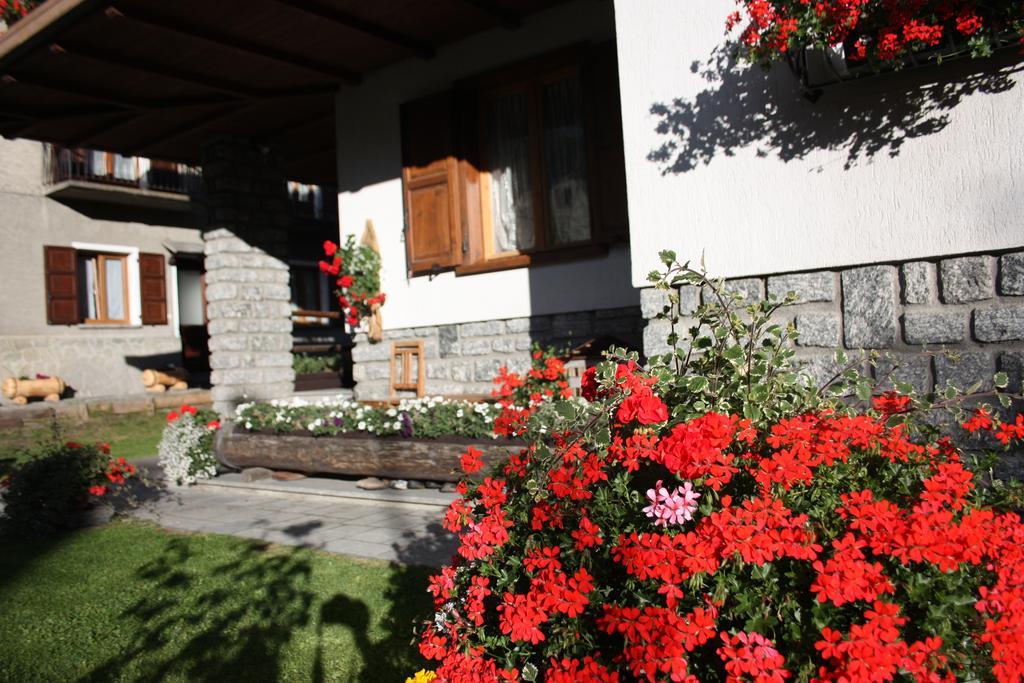 Chalet Stelvio Bormio Dış mekan fotoğraf