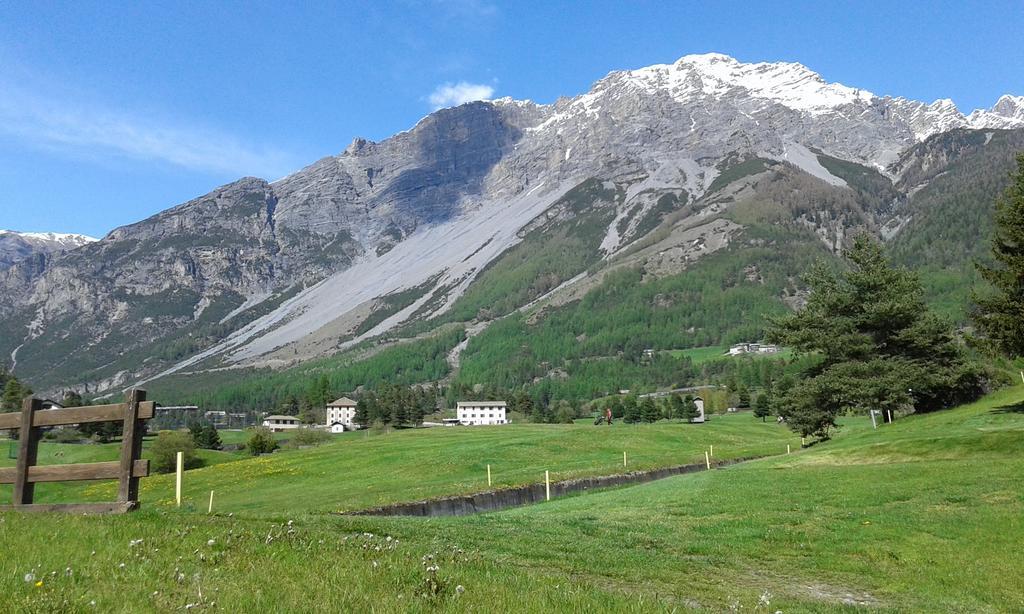 Chalet Stelvio Bormio Dış mekan fotoğraf